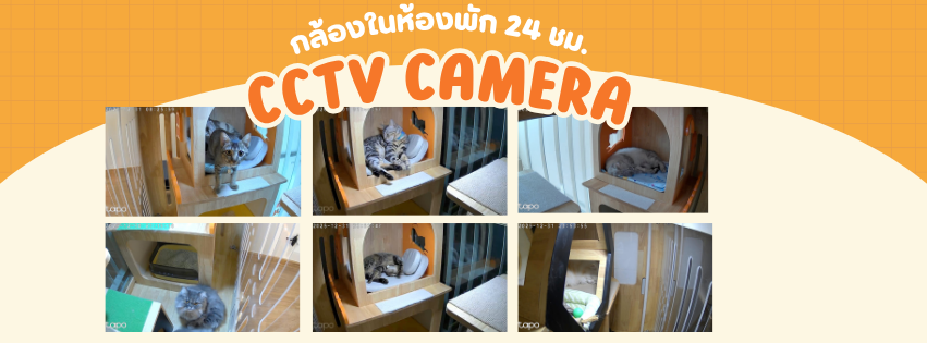 CCTV ในห้องพัก